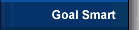 Goal Smart Custom Software